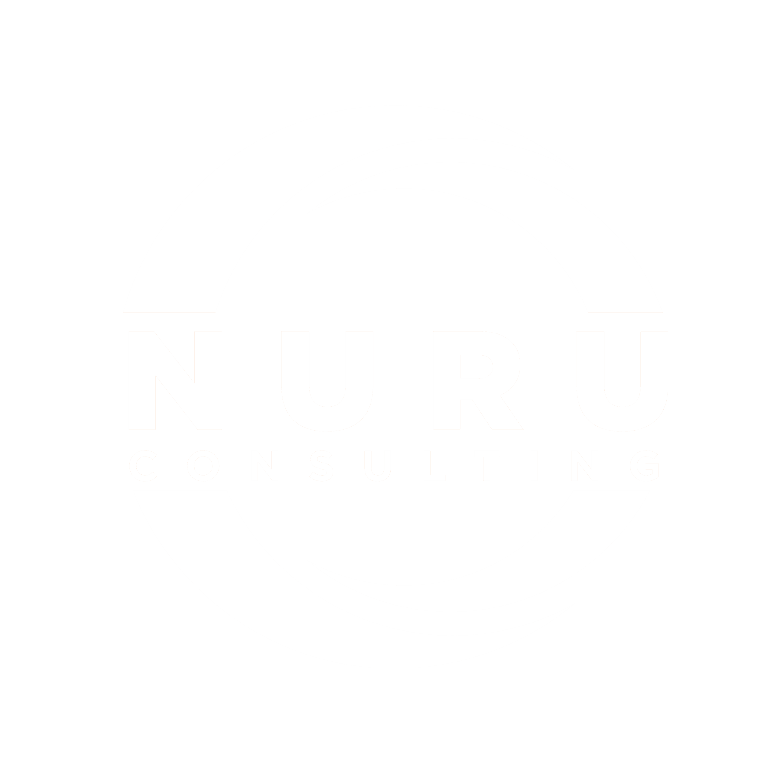 NURU Consulting | Professional Consulting Firm in Tanzania