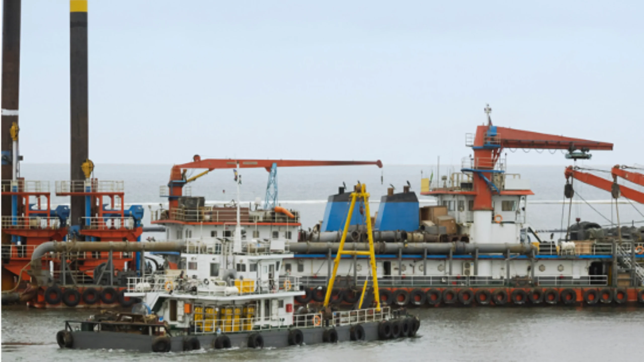 fisheries consulting firm Tanzania