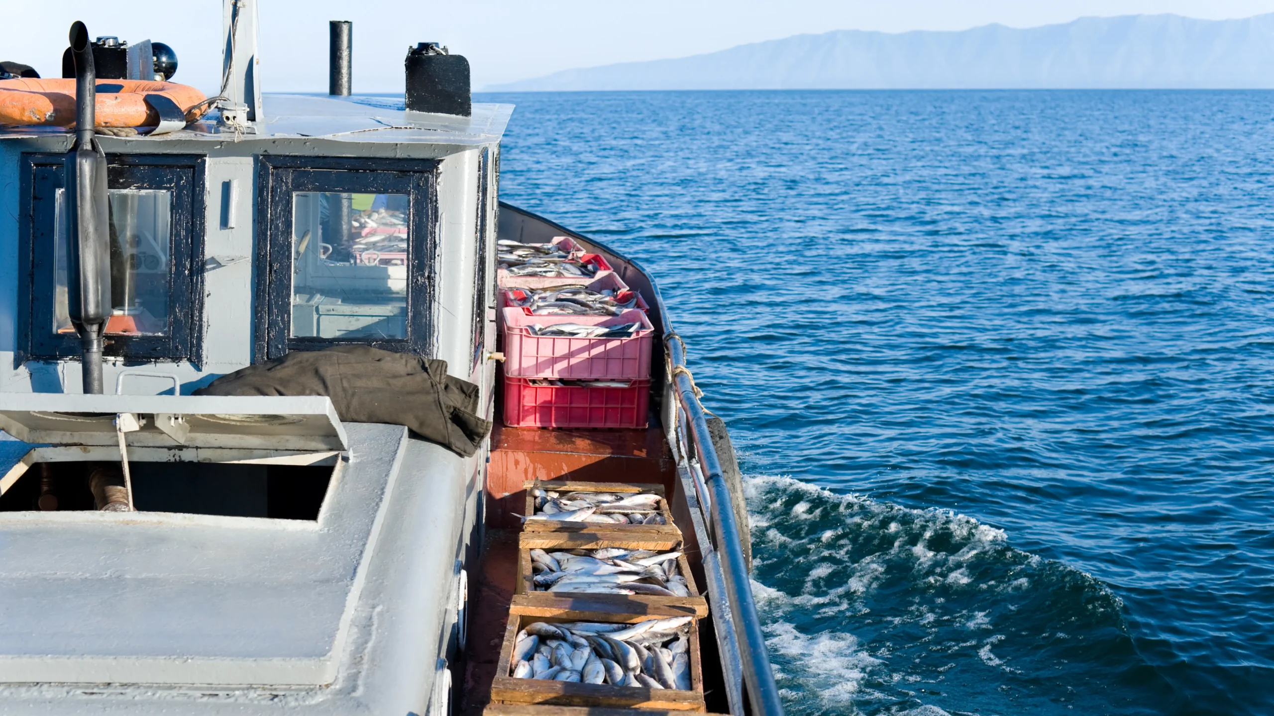 marine consulting firm Tanzania